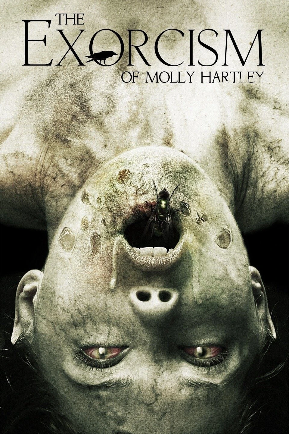 Nỗi Ám Ảnh Của Molly | The Exorcism of Molly Hartley (2015) Nỗi Ám Ảnh Của Molly | The Exorcism of Molly Hartley (2015)